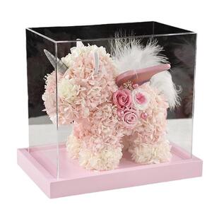小号透明亚克力盒子独角兽盒子有机玻璃干花永生花防尘收纳展示盒