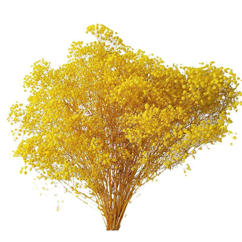 云南永生满天星干花花束基地大量diy花材1公斤鲜花满天星加工,家居饰品,餐桌花艺,淘宝优惠券,粉丝福利购,淘宝优惠卷