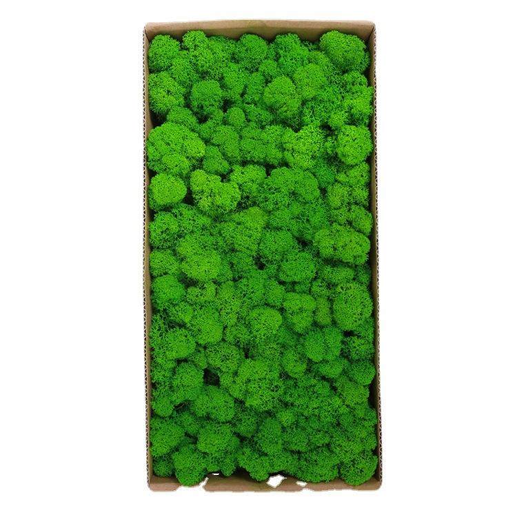 永生苔藓人造假苔藓墙绿植墙干花背景墙永生花小鹿藓仿真苔藓,家居饰品,餐桌花艺,淘宝优惠券,粉丝福利购,淘宝优惠卷