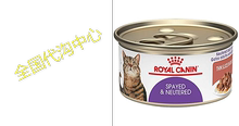 Royal Canin Spayed/Neutered Thin Slices in Gravy Wet Cat Foo