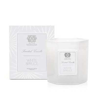 Antica Farmacista - White Spruce 9 oz Candle