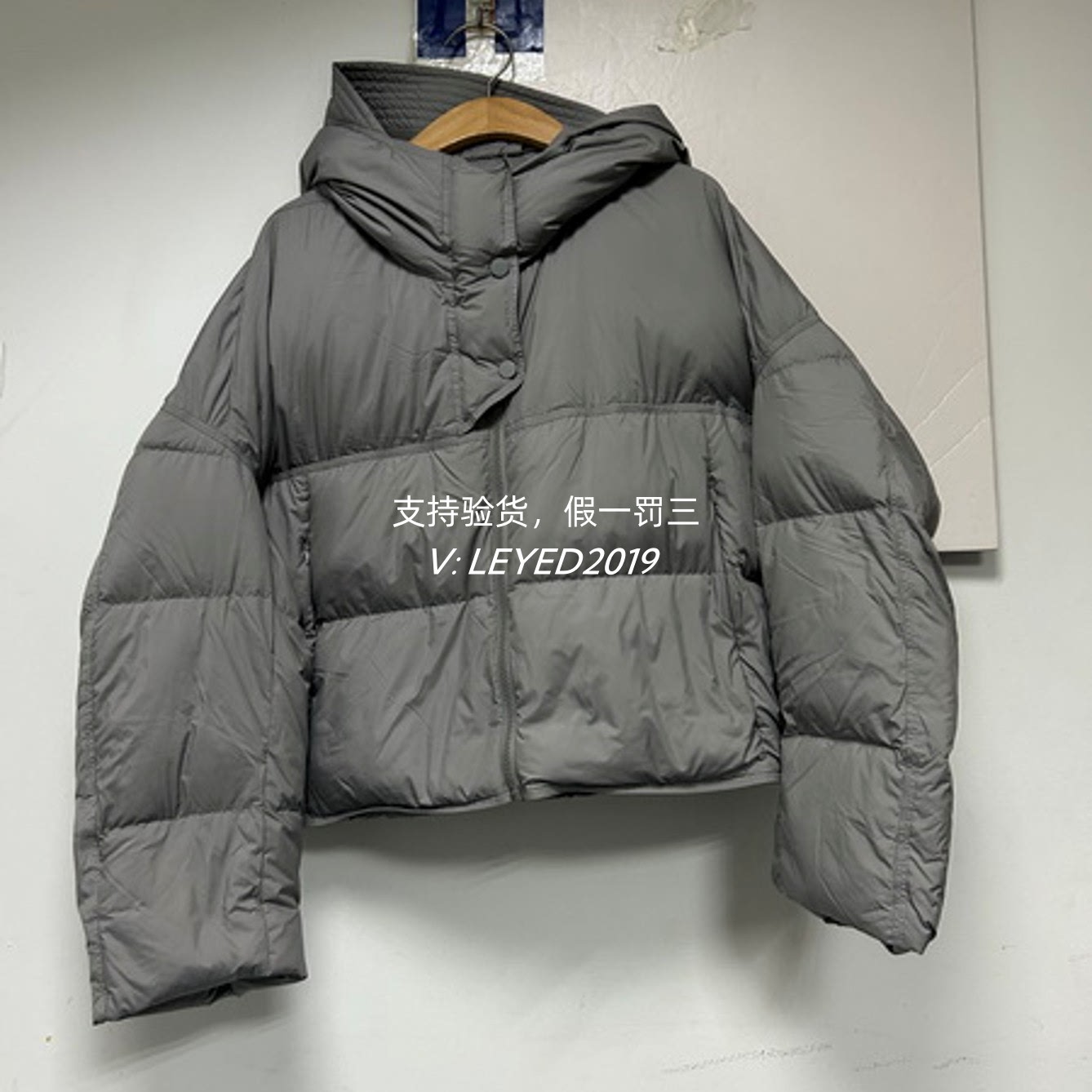 jessyline专柜正品2024秋季新款杰西莱羽绒服434208306-1380