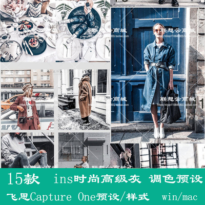 飞思Capture One预设ins时尚高级灰 网红博主街拍旅拍