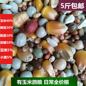 鸽粮有玉米信鸽观赏鸽鸟食 日粮 全价粮 营养饲料鸽子粮食