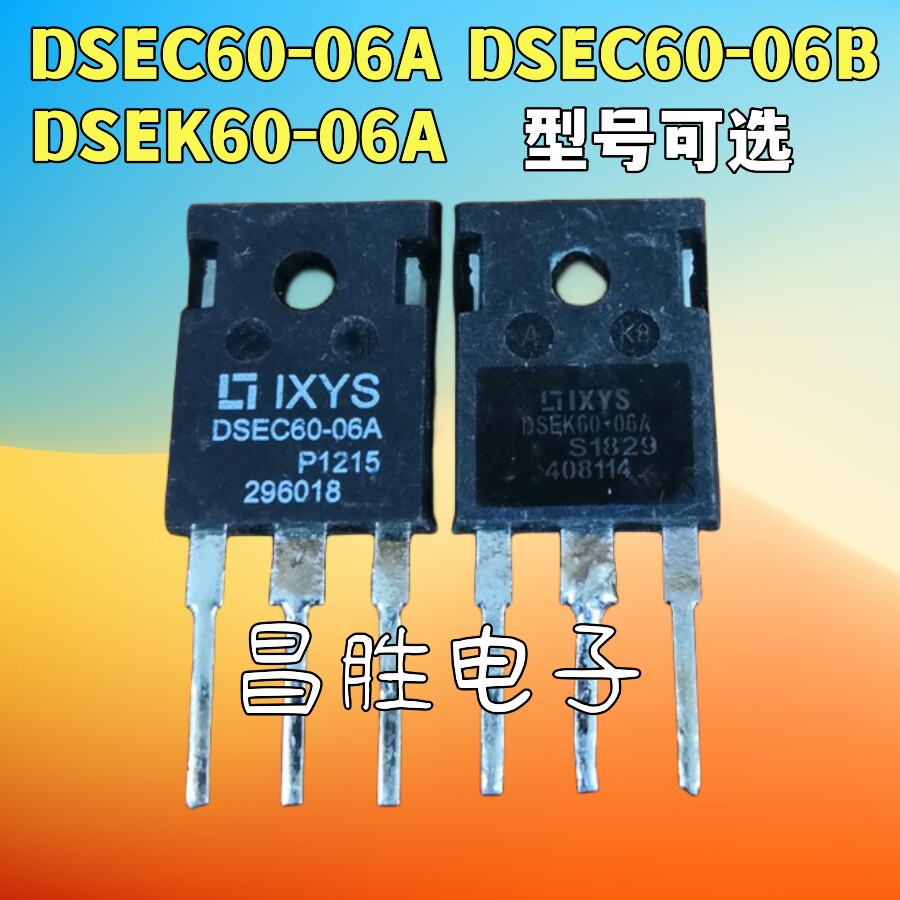 DSEC60-06ADSEC60-06BDSEK