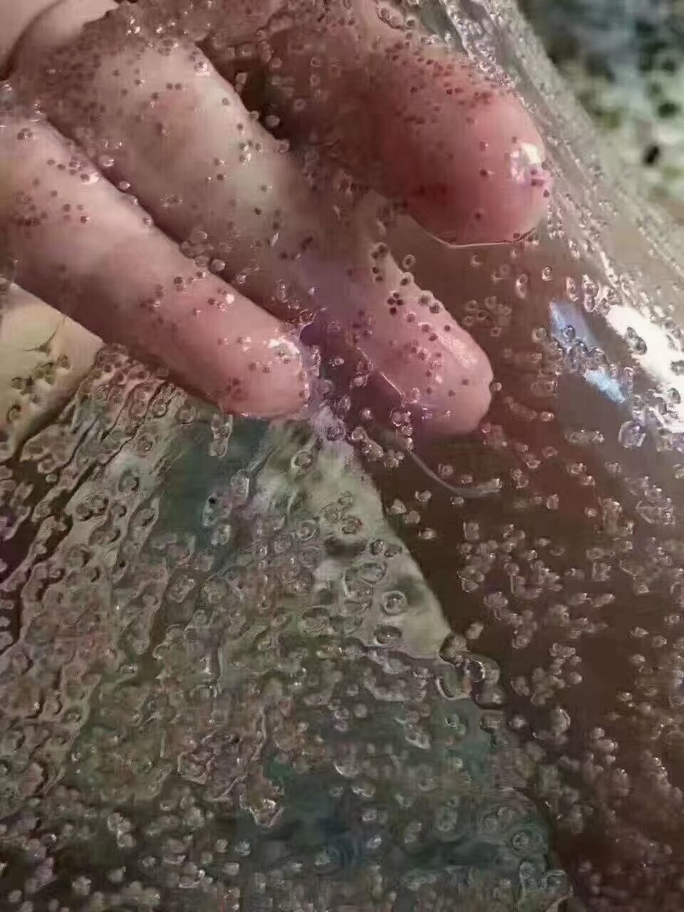 瓶装泰国小颗粒嫩白补水海藻面膜