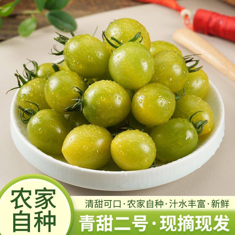 寿光青甜2号小番茄农家自种现摘现发新鲜圣女果水果西红柿整箱
