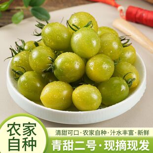 寿光青甜2号小番茄农家自种现摘现发新鲜圣女果水果西红柿整箱