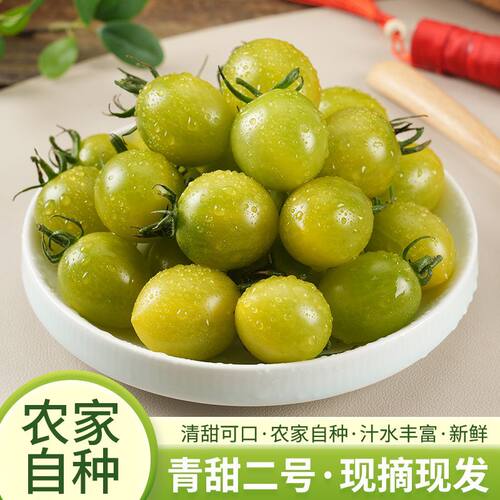 现摘现发寿光青甜2号小番茄