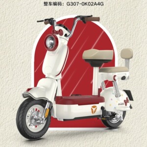 雅迪C18电动轻便摩托车长续航