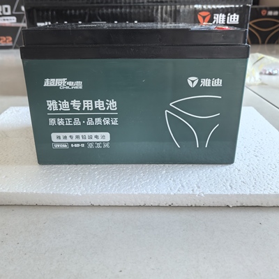 雅迪超威天能原装铅酸电动车电池