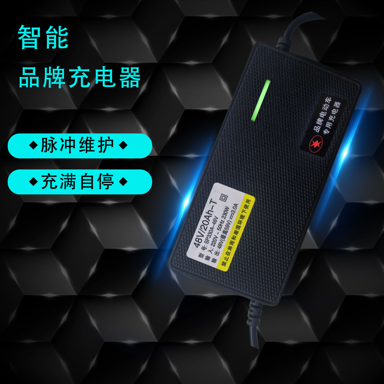 爱玛电动车正品原装铅酸专用