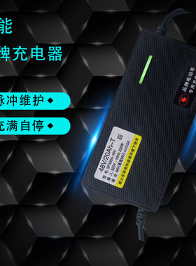 适用爱玛电动车电瓶充电器48V60V72V12/20AH32AH铅酸蓄电池电瓶