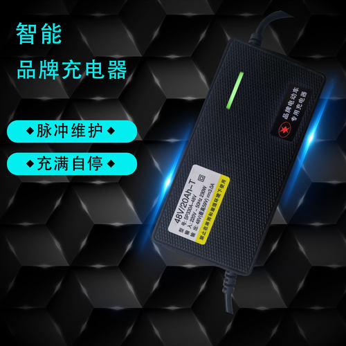 爱玛电动车正品原装铅酸专用