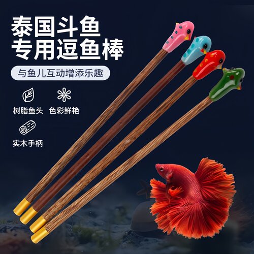 泰国斗鱼棒逗鱼棒纯手工制作斗鱼玩具展尾互动小工具半月狮王马尾