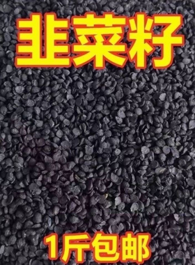 生韭菜子炒熟韭菜子籽中药材韭菜子籽粉医用男性泡酒泡茶中药材