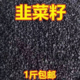 生韭菜子炒熟韭菜子籽中药材韭菜子籽粉医用男性泡酒泡茶中药材