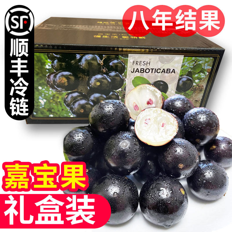 顺丰礼盒 4斤嘉宝果鲜果树葡萄高端品种新鲜水果孕妇现摘整箱包邮