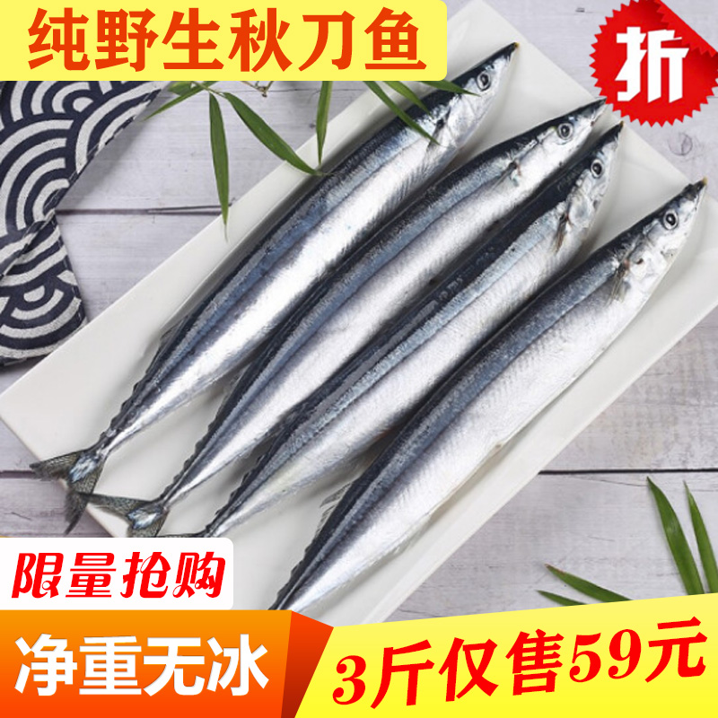 秋刀鱼烧烤食材冷冻水产