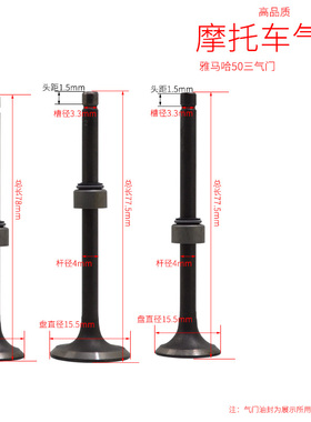 VOX50 EVO2 VINO50 GEAR50电喷大货架OVETTO-50水冷三气门 油封