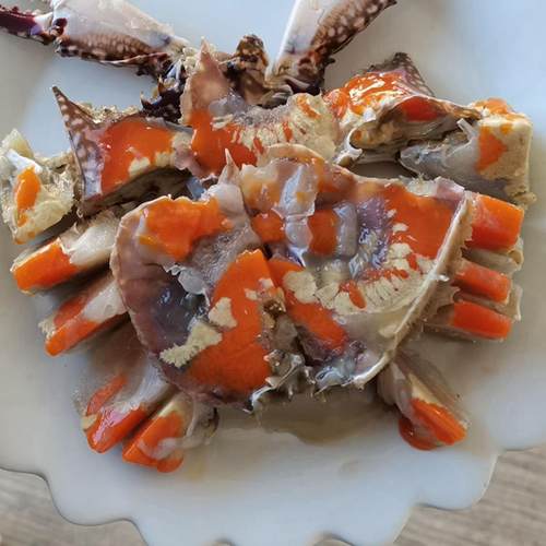 海哥推荐飞机红膏蟹295元5只
