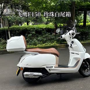 飞鹰F150 摩托车尾箱 踏板车复古后备箱 大号储物箱 电动车外卖箱
