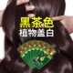 泡泡染发剂植物纯官方旗舰店正品 黑茶色染发膏女品牌天然无刺激