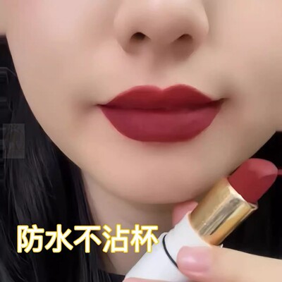 【官方正品】法国复古显白姨妈色口红女不沾杯不掉色哑光持久防水