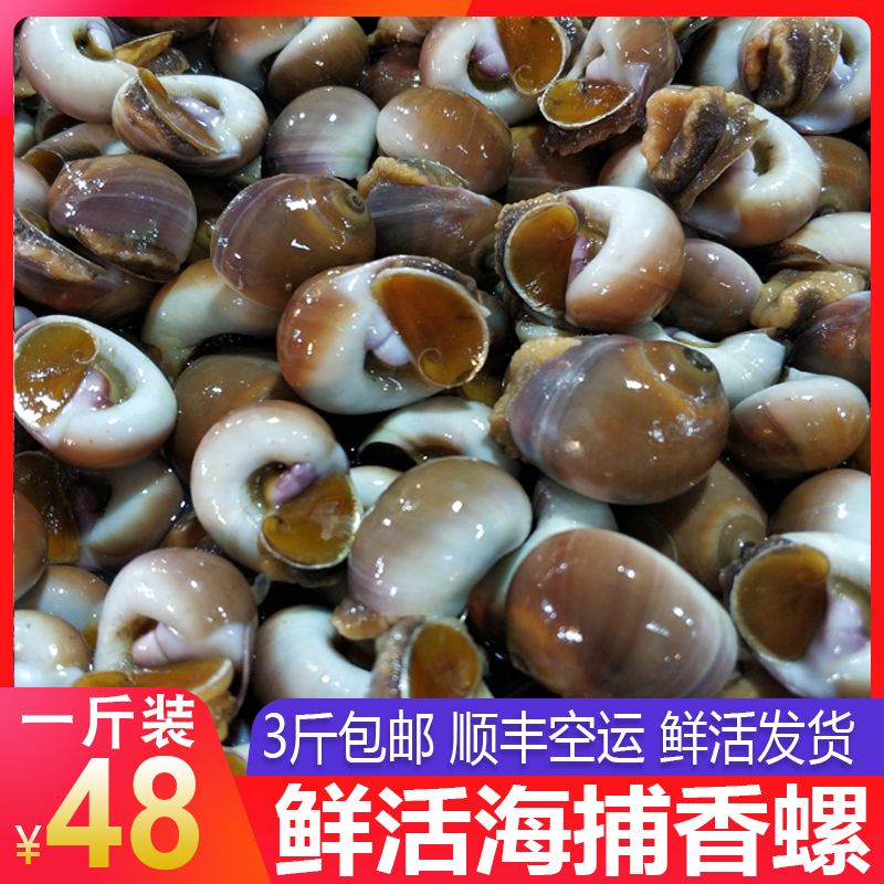香螺鲜活鲜生小香螺猫眼海螺新鲜贝壳类海鲜水产500g 3斤顺丰包邮在类目 水产肉类/新鲜蔬果/熟食, 海鲜/水产品/制品, 贝类, 贝类制品中 - 来自Buy2taobao.com提供专业的淘宝代购服务