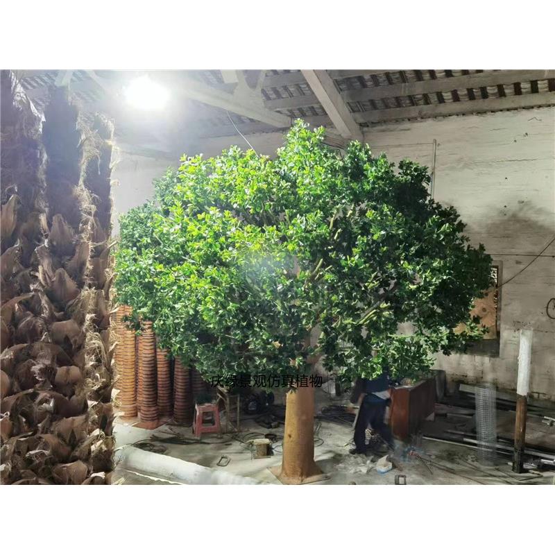仿真黄杨树大型玻璃钢福禄桐树室外景观树旅游景区售楼处造景装饰