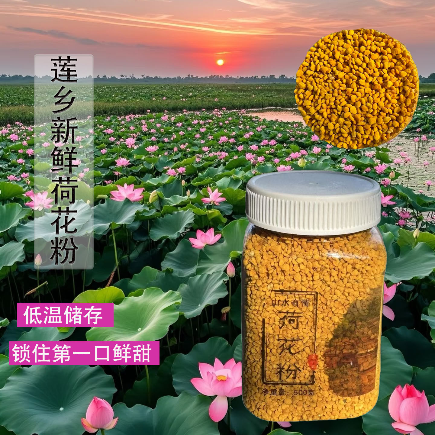 荷花粉2025蜂农自产自销养蜂纯正天然食用莲花粉新鲜蜂花粉500g
