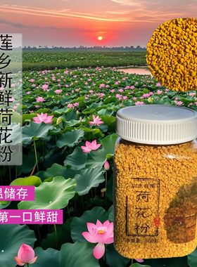 天然莲花花粉农家养蜂人自产新鲜