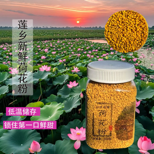 天然莲花花粉农家养蜂人自产新鲜
