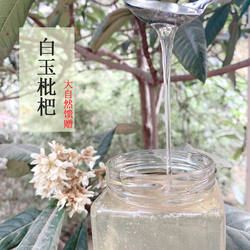 白玉枇杷蜜野生土蜂蜜食用苏州东山500g孕妇儿童天然冬蜜