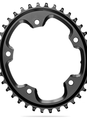 AbsoluteBlack CX Oval 1XBCD110x5N/W Traction公路越野椭圆齿片