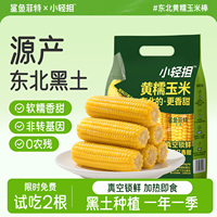 哈爾濱直發(fā)東北黃糯玉米真空鎖鮮