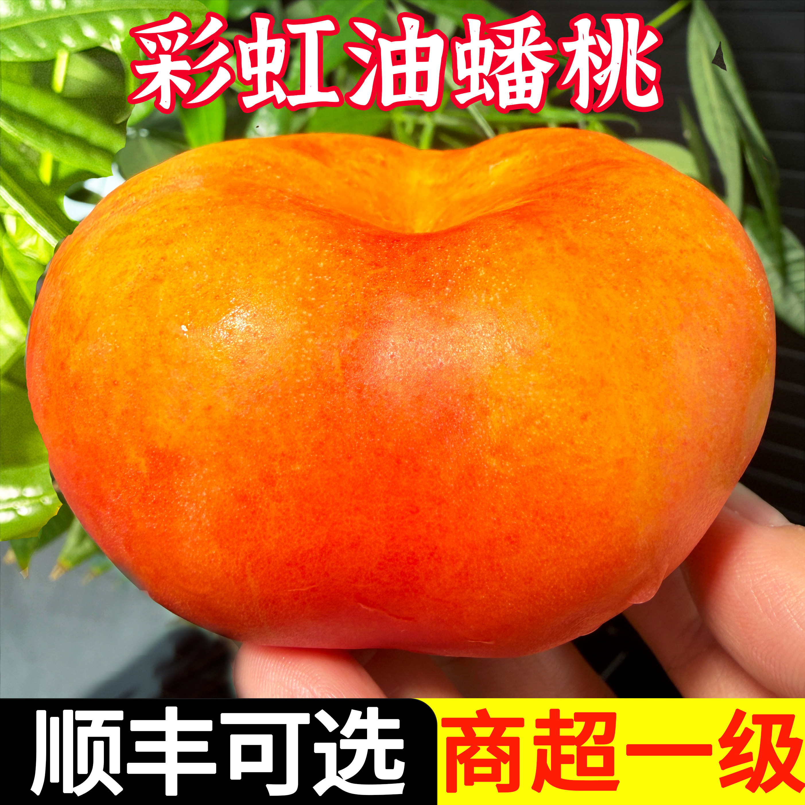 当季新鲜彩虹黄心油蟠桃