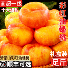 2025蒙阴彩虹油蟠桃新鲜水果当季黄心油桃脆桃扁桃蟠桃油桃孕妇桃