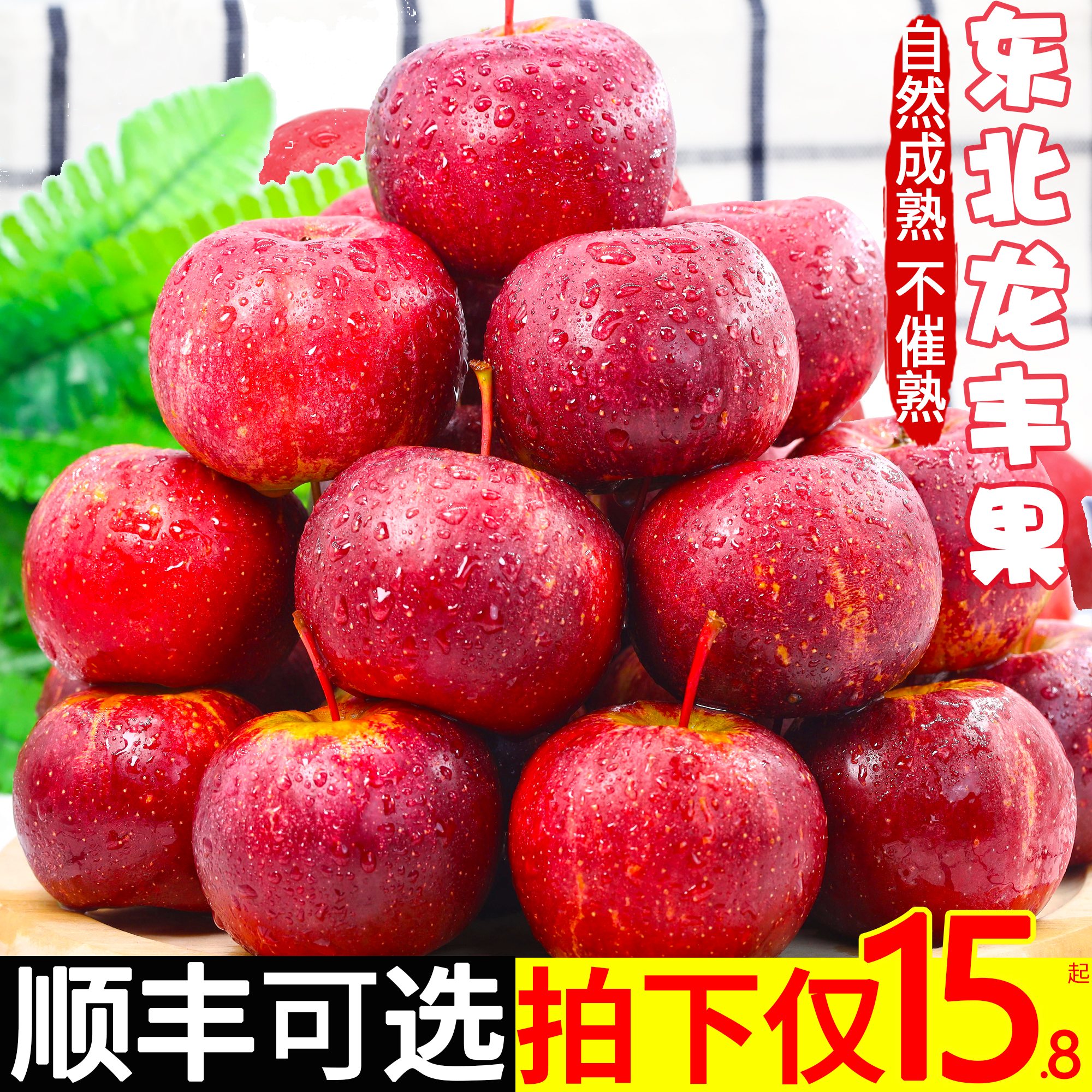正宗东北龙丰果5斤特产小苹果