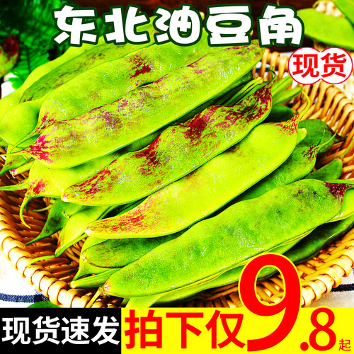 正宗东北油豆角5斤现摘现发