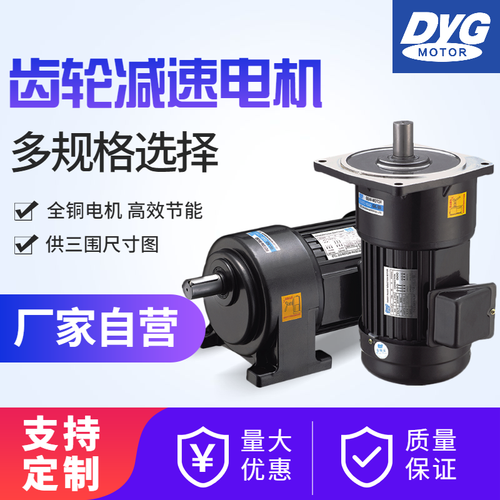 dyg小型交流220v750w减速电机