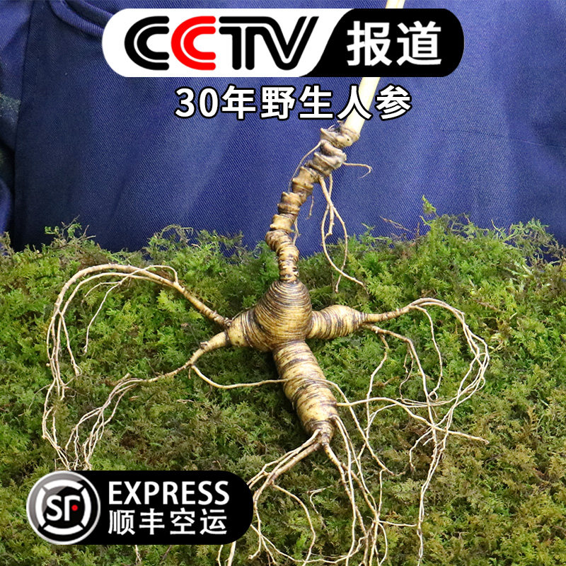 【顺丰包邮】长白山人参林下参野山参15-30年新鲜人参泡酒野生参