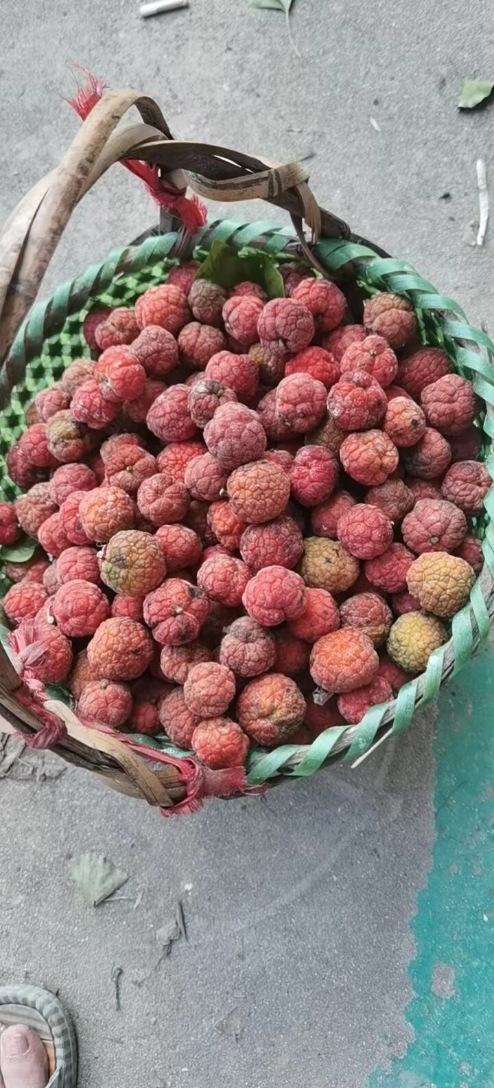柘果,柘果图片_大山谷图库