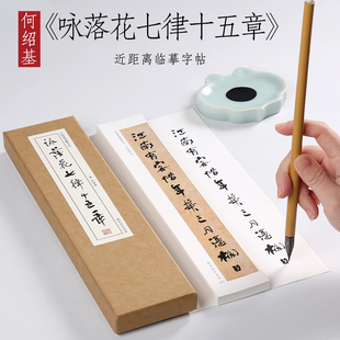 清 何绍基 行书 《咏落花七律十五章》初学者基础入门古帖原帖书法毛笔临摹字帖墨迹本小行书描红全集近 距离对临字帖 纸中作乐