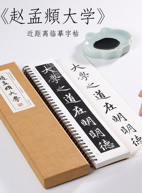 元 赵孟俯 行书 《大学》行书字帖赵孟頫书四书五经松雪斋法书毛笔临摹书法近距离对临字帖 纸中作乐