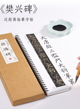 唐 褚遂良 楷书《樊兴碑》楷书字卡褚遂良毛笔书法临摹高清近距离对临字帖 纸中作乐