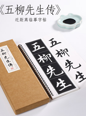 赵孟頫行楷柳先生纸中作乐