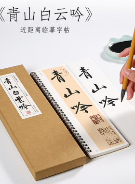 赵孟行书纸中作乐近距离字帖