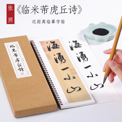 清 张照 行书《临米芾虎丘诗》书法精选入门毛笔书法临摹初学者全集 成人字卡近距离临摹字帖 纸中作乐
