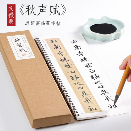 明 文徵明 行书《秋声赋》文征明行书字帖毛笔书法临摹初学者全集成人字卡近距离临摹字卡 纸中作乐